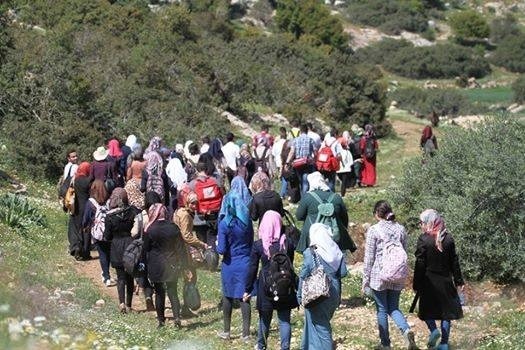 Students from An-Najah National University Organize an Environmental Field Trip