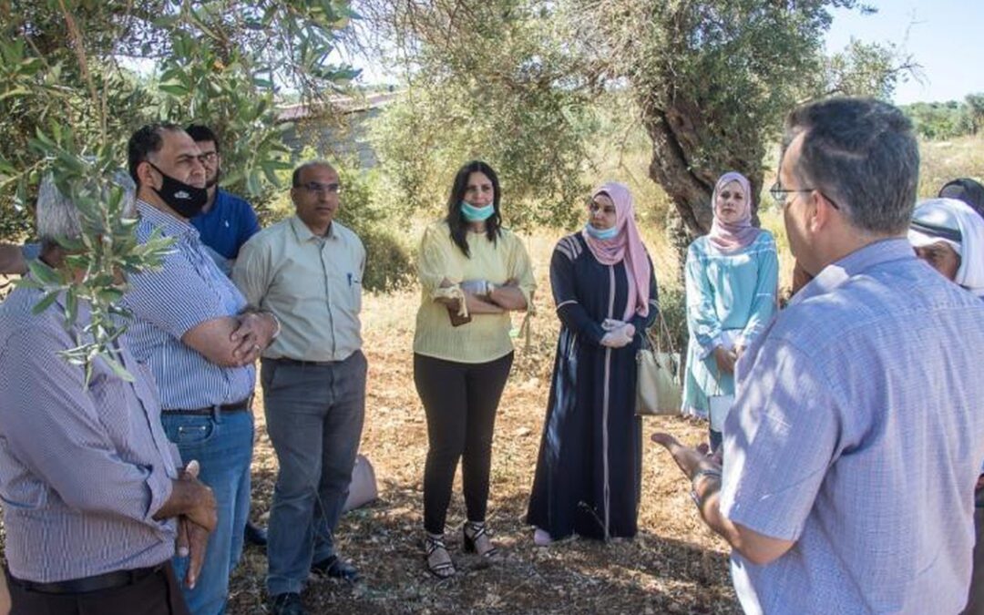 Launch of Biodiversity Conservation Project in the Oldest Olive Groves of Palestine